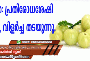 നെല്ലിക്ക: പ്രതിരോധശേഷി കൂട്ടുന്നു, വിളര്‍ച്ച തടയുന്നു