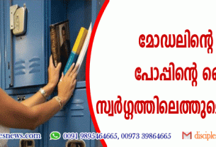മോഡലിന്റെ ചിത്രത്തിനു പോപ്പിന്റെ ലൈക്ക്; താന്‍ സ്വര്‍ഗ്ഗത്തിലെത്തുമെന്ന് യുവതി