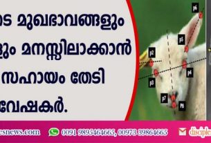 മൃഗങ്ങളുടെ മുഖഭാവങ്ങളും നികാരങ്ങളും മനസ്സിലാക്കാന്‍ എഐ സഹായം തേടി ഗവേഷകര്‍