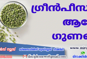 ഗ്രീന്‍പീസിന്റെ ആരോഗ്യ ഗുണങ്ങള്‍