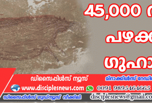 45,000 വര്‍ഷം പഴക്കമുള്ള ഗുഹാ ചിത്രം കണ്ടെത്തി