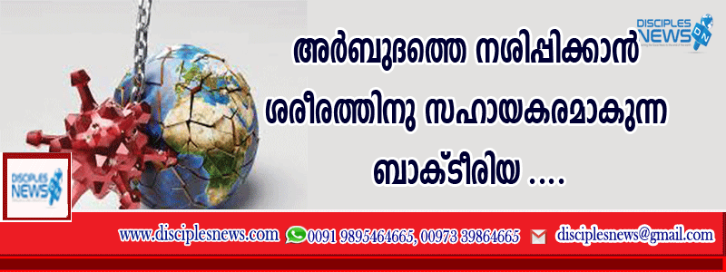 അര്‍ബുദത്തെ നശിപ്പിക്കാന്‍ ശരീരത്തിനു സഹായകരമാകുന്ന ബാക്ടീരിയ കണ്ടെത്തി