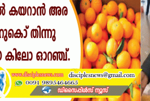വിമാനത്തില്‍ കയറാന്‍ അര മണിക്കൂറുകൊണ്ട് തിന്നു തീര്‍ത്തത് 30 കിലോ ഓറഞ്ച്
