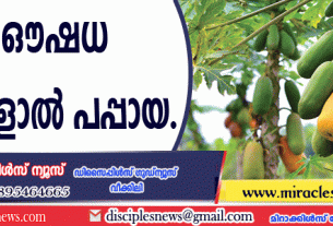 നിരവധി ഔഷധ ഗുണങ്ങളാല്‍ പപ്പായ