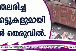 ചിതലരിച്ച പണക്കെട്ടുകളുമായി കുട്ടികള്‍ തെരുവില്‍