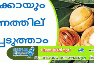 ജാതിക്കായും ഭക്ഷണത്തില്‍ ഉള്‍പ്പെടുത്താം