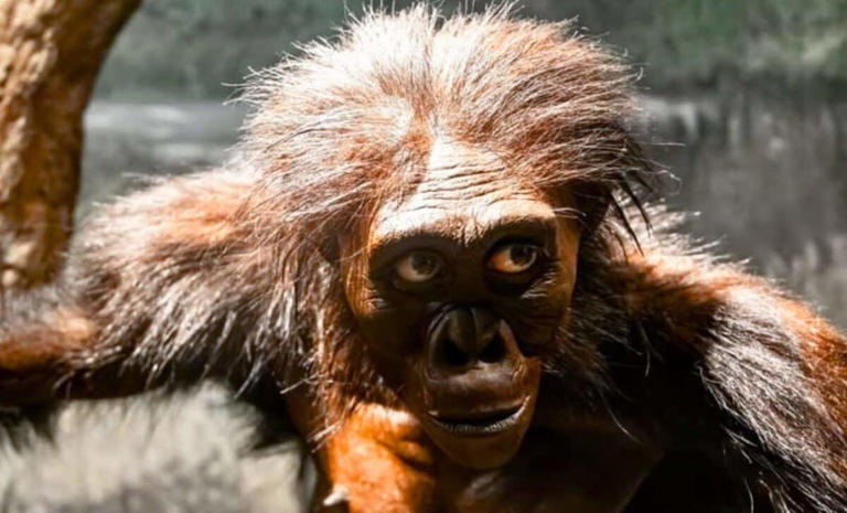 മനുഷ്യ പരിണാമം: 'ലൂസി'യുടെ സിംഹാസനം ഇളകുന്നു; എത്യോപ്യയിൽ പുതിയ കണ്ടെത്തൽ