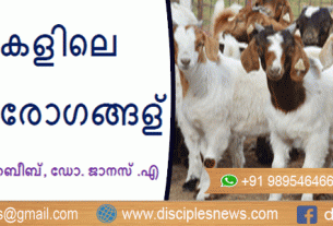 ഡോ. ബിജു പി. ഹബീബ്, ഡോ. ജാനസ് .എ.