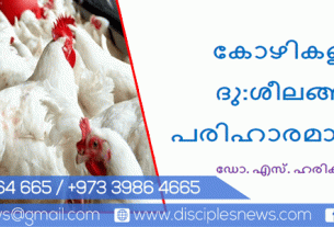കോഴികളിലെ ദു:ശീലങ്ങളും പരിഹാരമാര്‍ഗവും