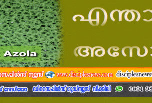 എന്താണ് അസോള?