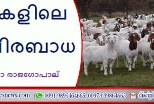 ആടുകളിലെ നാടവിരബാധ