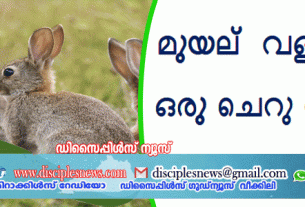 മുയല്‍ വളര്‍ത്തല്‍ ഒരു ചെറു ലേഖനം