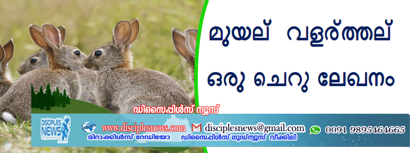 മുയല്‍ വളര്‍ത്തല്‍ ഒരു ചെറു ലേഖനം