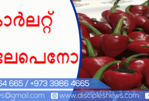 സ്കാർലറ്റ് റെഡ് ജലപെനോ മുളക്